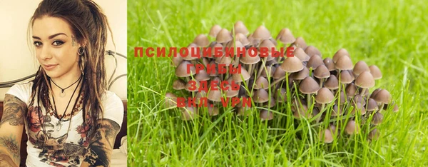 эйфоретик Армянск
