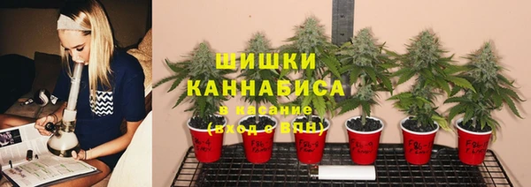 не бодяженный Арсеньев
