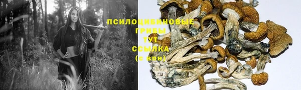 не бодяженный Арсеньев