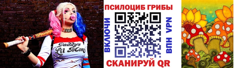 Псилоцибиновые грибы Cubensis  Трёхгорный 